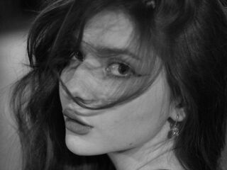 chat room livesex VelvetMeow